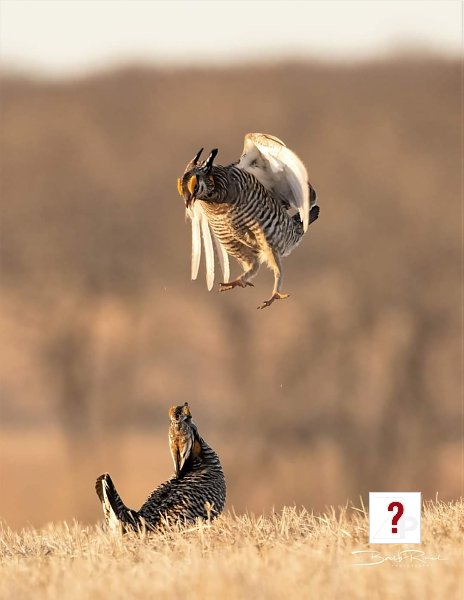 13_FB_IMG_1649781834567