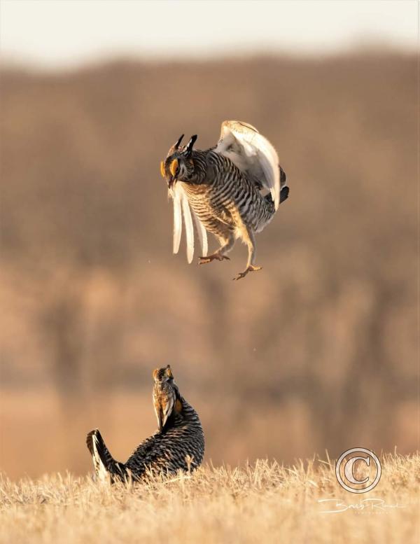 13_FB_IMG_1649781834567
