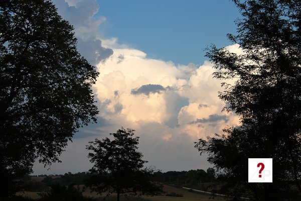 34_Clouds between the trees