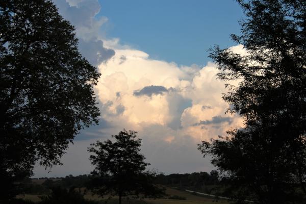 34_Clouds between the trees