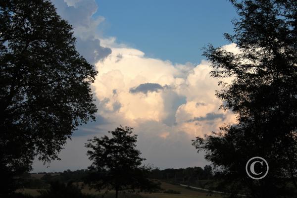 34_Clouds between the trees