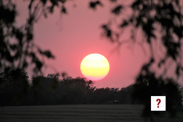 36_Sun behind the trees