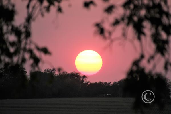 36_Sun behind the trees
