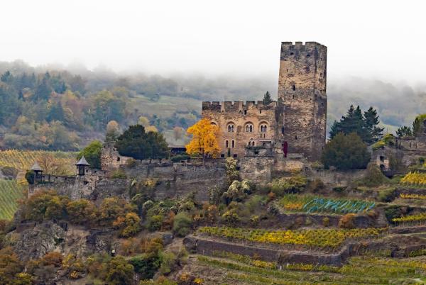 50_Gutenfels2