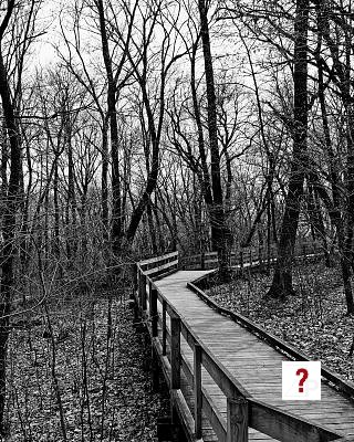 Boardwalk