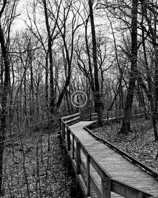 Boardwalk