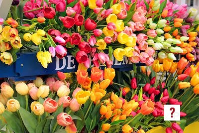 Flower cart