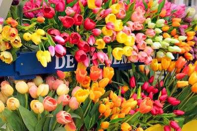Flower cart