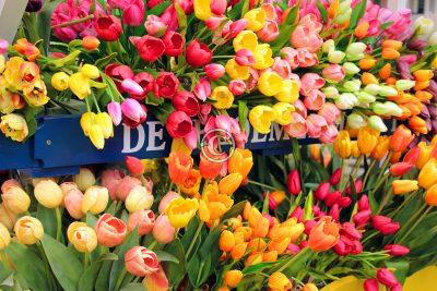 Flower cart