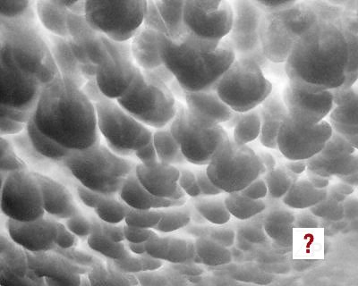 Marshmellow Clouds
