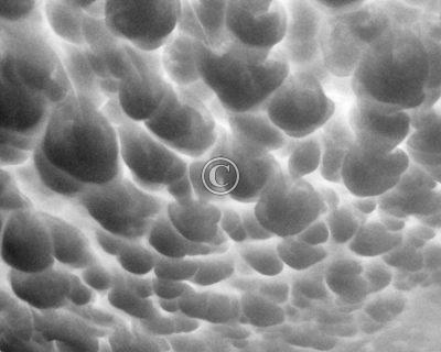 Marshmellow Clouds