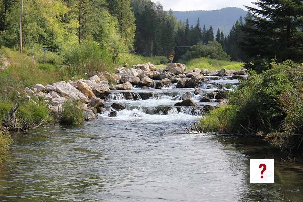 Spearfish canyon stream