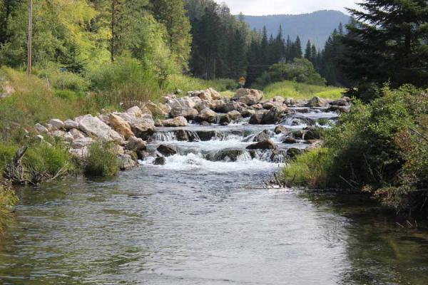 Spearfish canyon stream