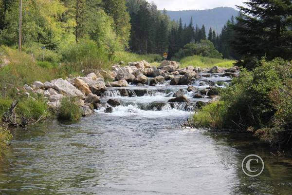 Spearfish canyon stream
