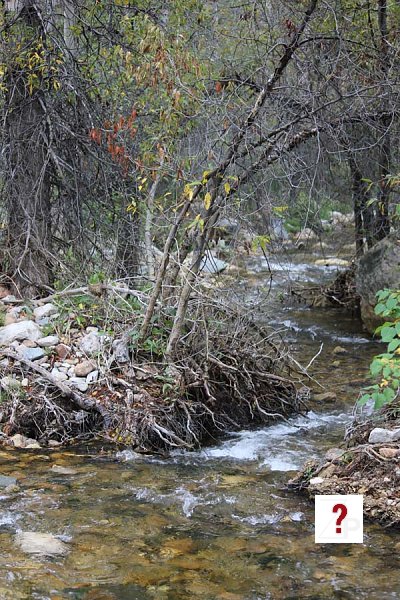 Stream