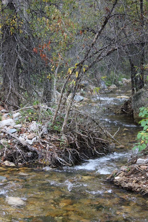 Stream