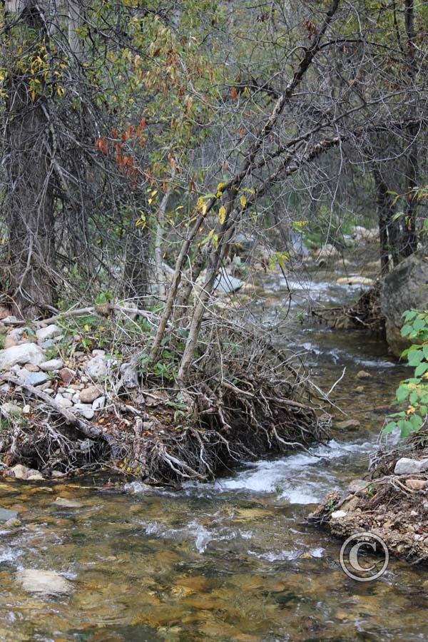 Stream