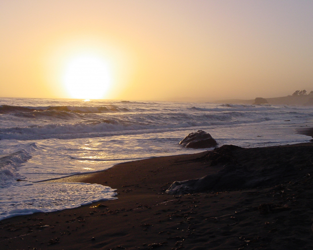 May 21st, 2026 Meeting – Early start 6:30pm @ Camp Brewster - Photograph the Raptors of Fontenelle Forest. @ Camp Brewster