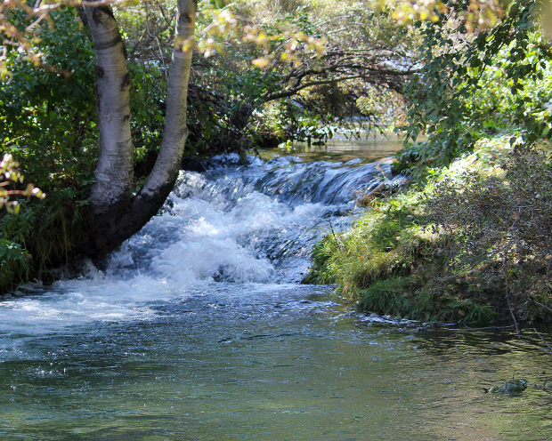 May 21st, 2026 Meeting – Early start 6:30pm @ Camp Brewster - Photograph the Raptors of Fontenelle Forest. @ Camp Brewster