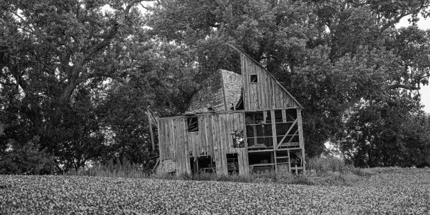 May 21st, 2026 Meeting – Early start 6:30pm @ Camp Brewster - Photograph the Raptors of Fontenelle Forest. @ Camp Brewster