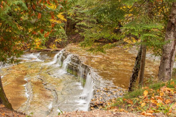 May 21st, 2026 Meeting – Early start 6:30pm @ Camp Brewster - Photograph the Raptors of Fontenelle Forest. @ Camp Brewster