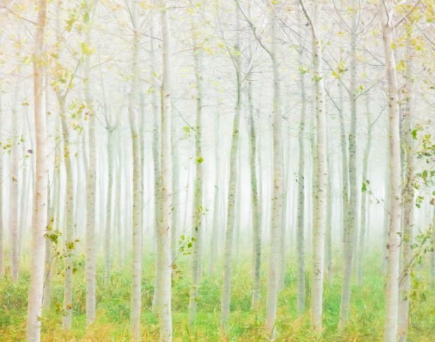 May 21st, 2026 Meeting – Early start 6:30pm @ Camp Brewster - Photograph the Raptors of Fontenelle Forest. @ Camp Brewster