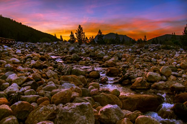 May 21st, 2026 Meeting – Early start 6:30pm @ Camp Brewster - Photograph the Raptors of Fontenelle Forest. @ Camp Brewster