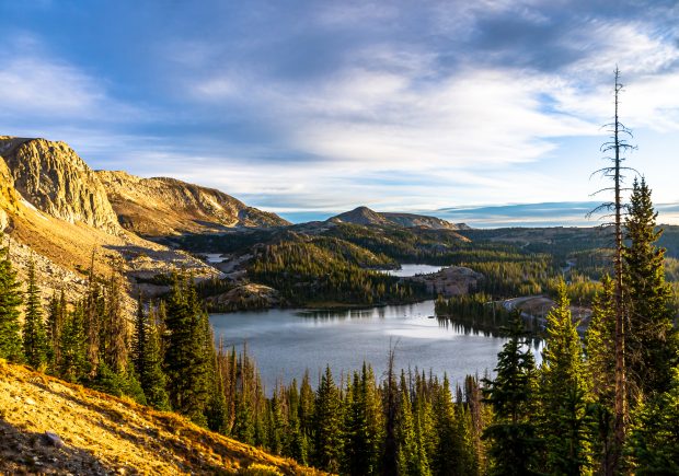 May 21st, 2026 Meeting – Early start 6:30pm @ Camp Brewster - Photograph the Raptors of Fontenelle Forest. @ Camp Brewster