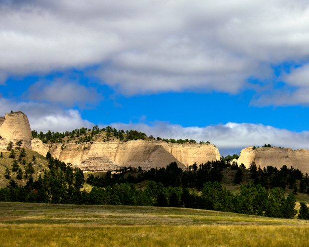 May 21st, 2026 Meeting – Early start 6:30pm @ Camp Brewster - Photograph the Raptors of Fontenelle Forest. @ Camp Brewster