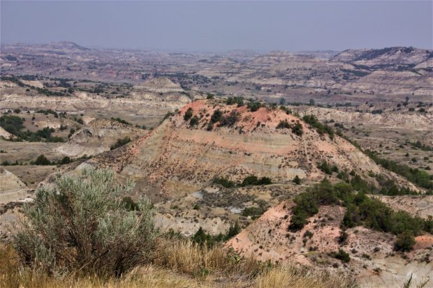 May 21st, 2026 Meeting – Early start 6:30pm @ Camp Brewster - Photograph the Raptors of Fontenelle Forest. @ Camp Brewster