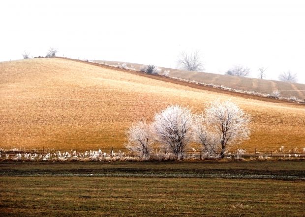 May 21st, 2026 Meeting – Early start 6:30pm @ Camp Brewster - Photograph the Raptors of Fontenelle Forest. @ Camp Brewster