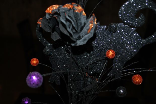 May 21st, 2026 Meeting – Early start 6:30pm @ Camp Brewster - Photograph the Raptors of Fontenelle Forest. @ Camp Brewster