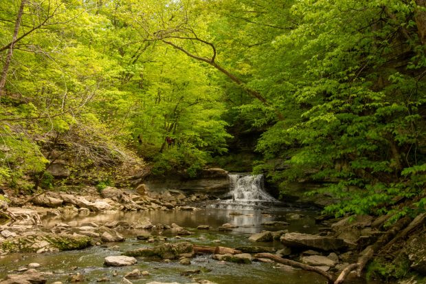 May 21st, 2026 Meeting – Early start 6:30pm @ Camp Brewster - Photograph the Raptors of Fontenelle Forest. @ Camp Brewster