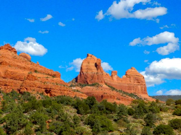 May 21st, 2026 Meeting – Early start 6:30pm @ Camp Brewster - Photograph the Raptors of Fontenelle Forest. @ Camp Brewster