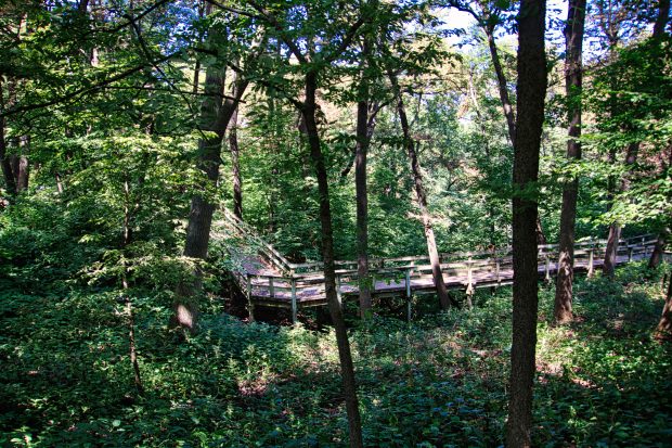 There are NO regular meetings in July and August - but new photos are needed for September @ Fontenelle Forest