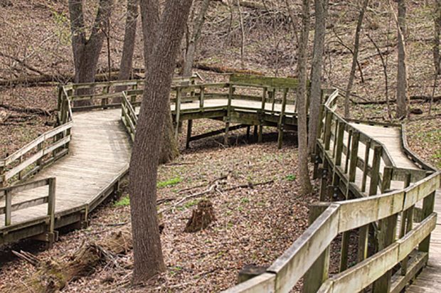 There are NO regular meetings in July and August - but new photos are needed for September @ Fontenelle Forest