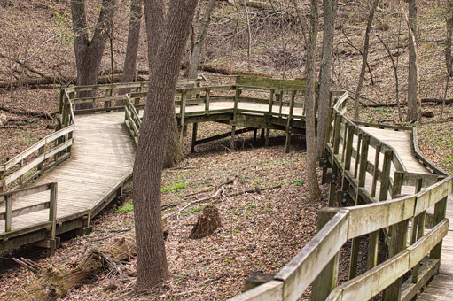 @ Fontenelle Forest Nature Center