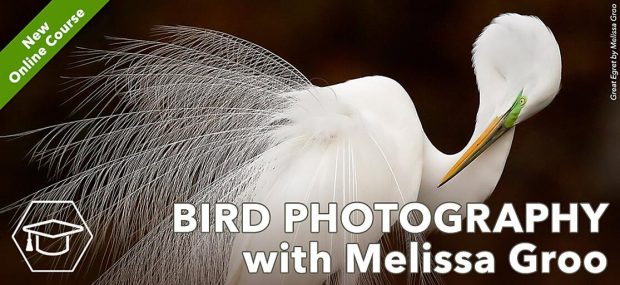 May 21st, 2026 Meeting – Early start 6:30pm @ Camp Brewster - Photograph the Raptors of Fontenelle Forest. @ Camp Brewster