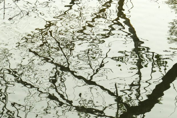 May 21st, 2026 Meeting – Early start 6:30pm @ Camp Brewster - Photograph the Raptors of Fontenelle Forest. @ Camp Brewster