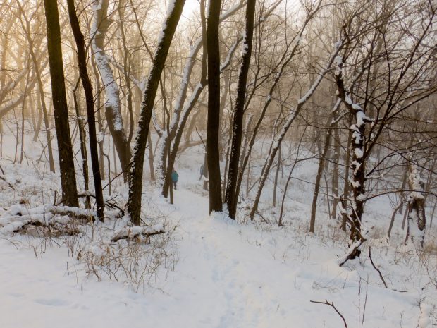 May 21st, 2026 Meeting – Early start 6:30pm @ Camp Brewster - Photograph the Raptors of Fontenelle Forest. @ Camp Brewster