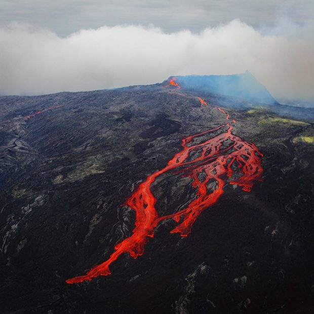 November Meeting Reminder @ Fontenelle Forest