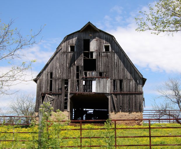 November Meeting Reminder @ Fontenelle Forest