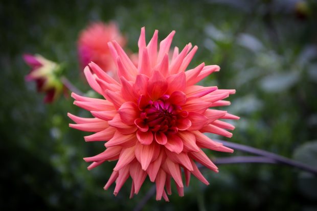 November Meeting Reminder @ Fontenelle Forest