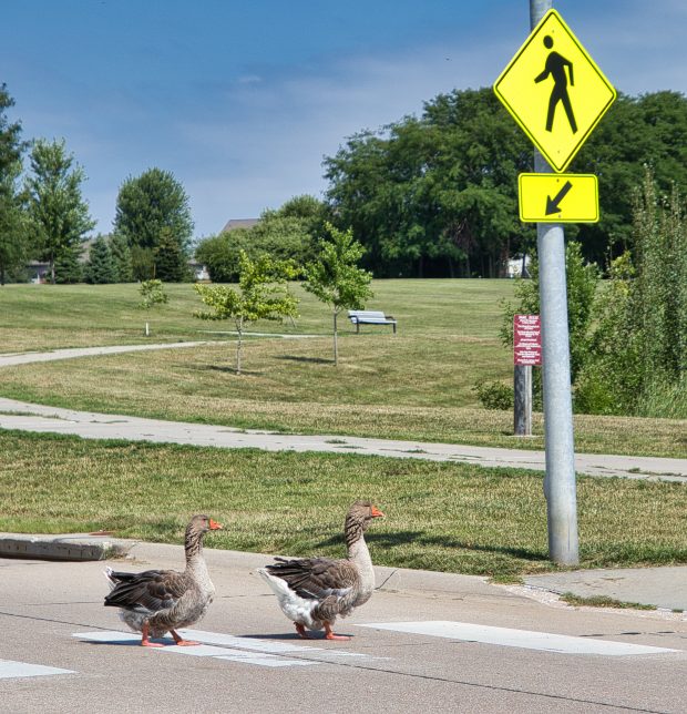 November Meeting Reminder @ Fontenelle Forest