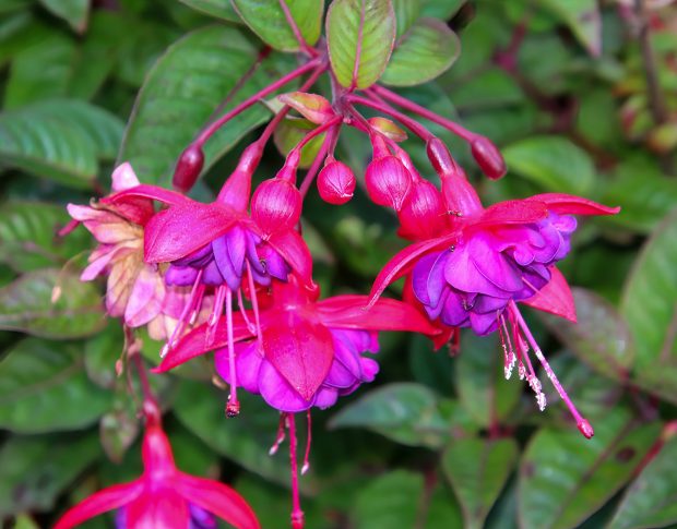 November Meeting Reminder @ Fontenelle Forest