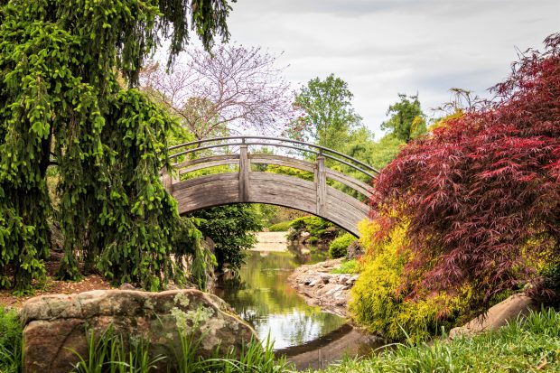 November Meeting Reminder @ Fontenelle Forest