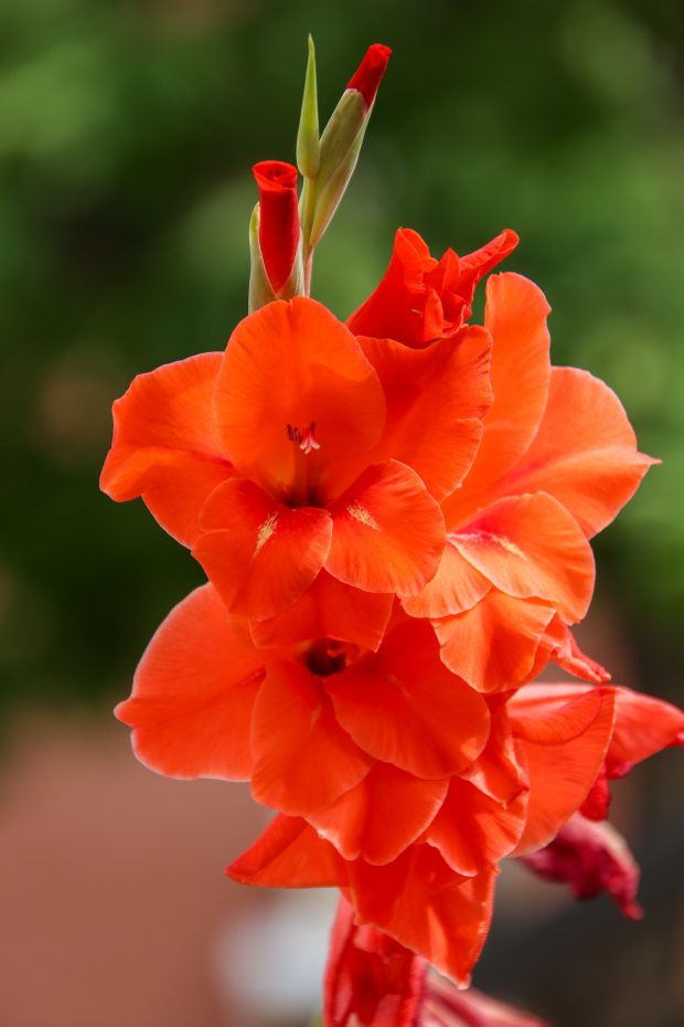 November Meeting Reminder @ Fontenelle Forest