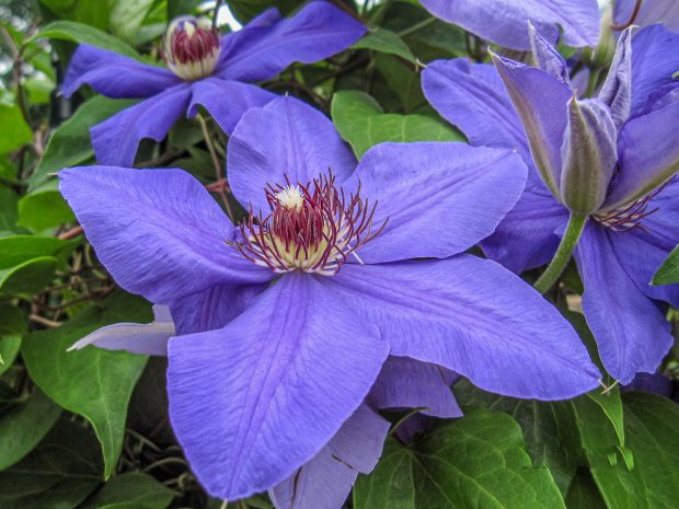 November Meeting Reminder @ Fontenelle Forest