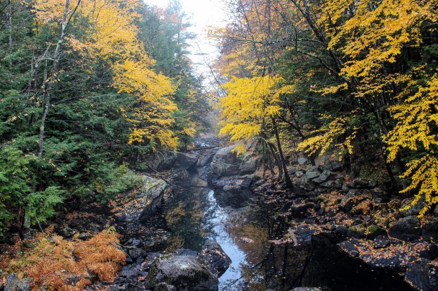 November Meeting Reminder @ Fontenelle Forest