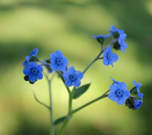 November Meeting Reminder @ Fontenelle Forest